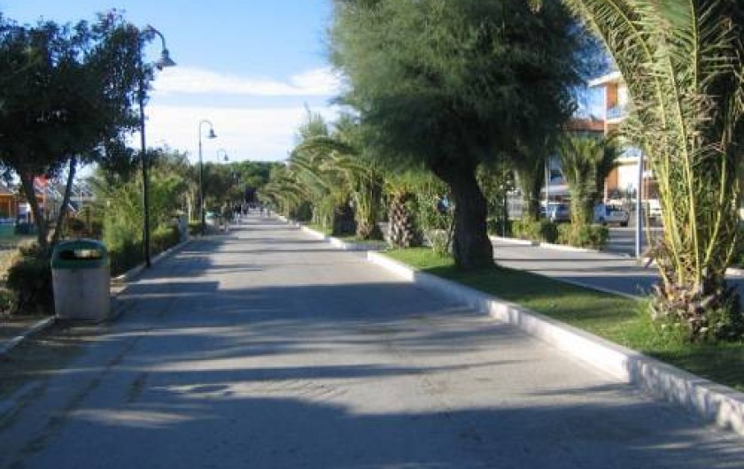 Location de vacances - Appartement à Alba Adriatica
