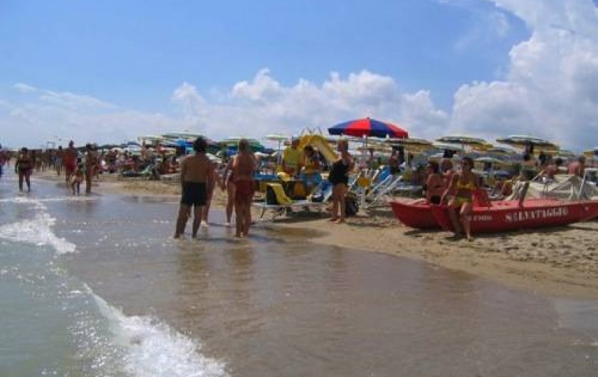 Location de vacances - Appartement à Alba Adriatica