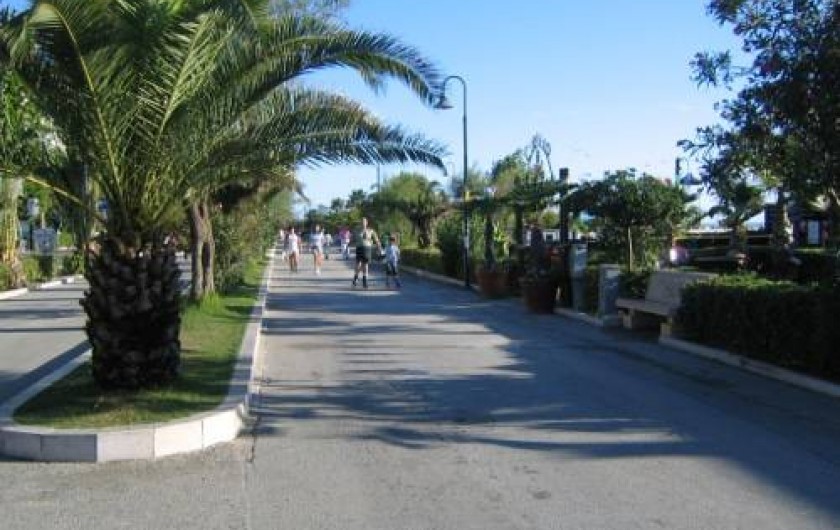 Location de vacances - Appartement à Alba Adriatica