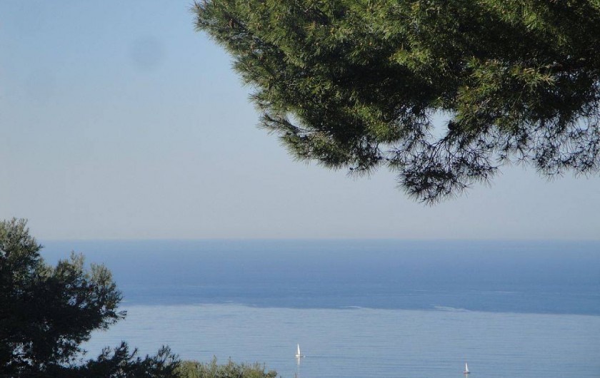 Location de vacances - Villa à Carqueiranne