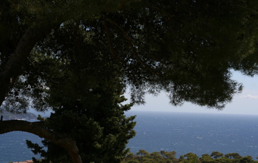 Location de vacances - Villa à Carqueiranne