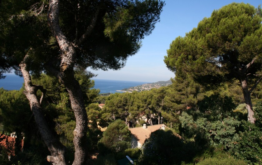 Location de vacances - Villa à Carqueiranne