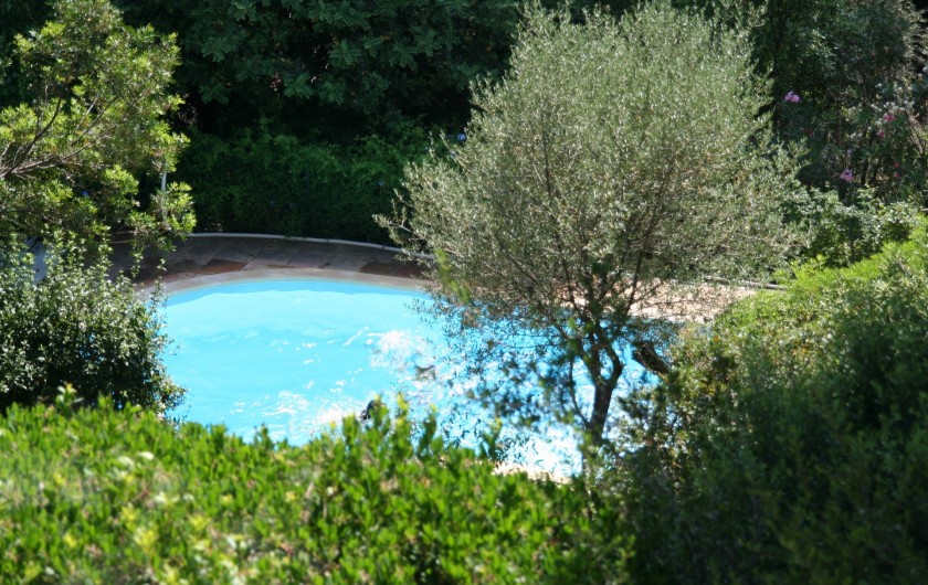 Location de vacances - Villa à Carqueiranne