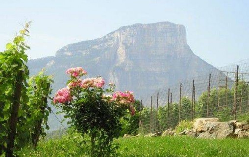 Location de vacances - Gîte à Apremont