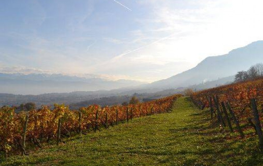 Location de vacances - Gîte à Apremont