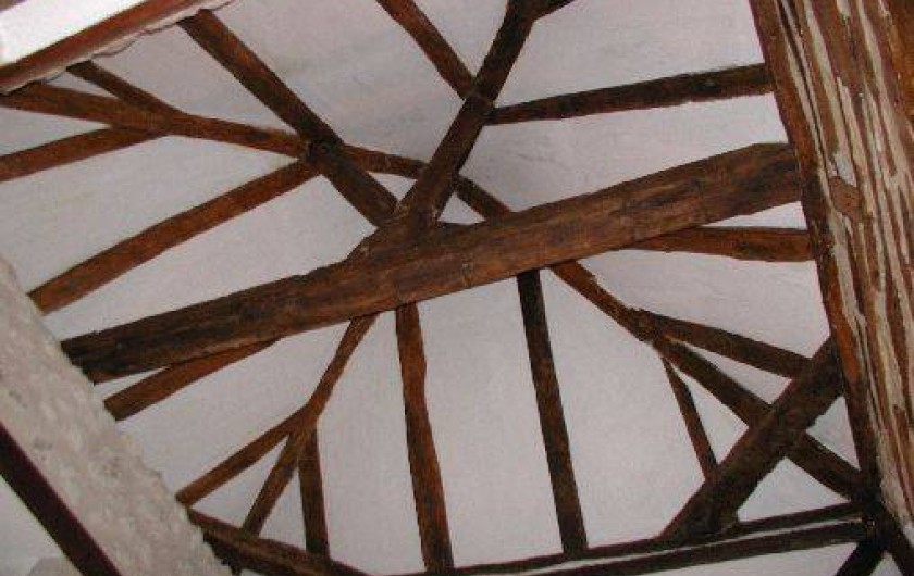 Location de vacances - Maison - Villa à Celles