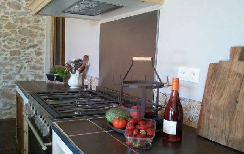 Location de vacances - Gîte à Castelnau-d'Aude