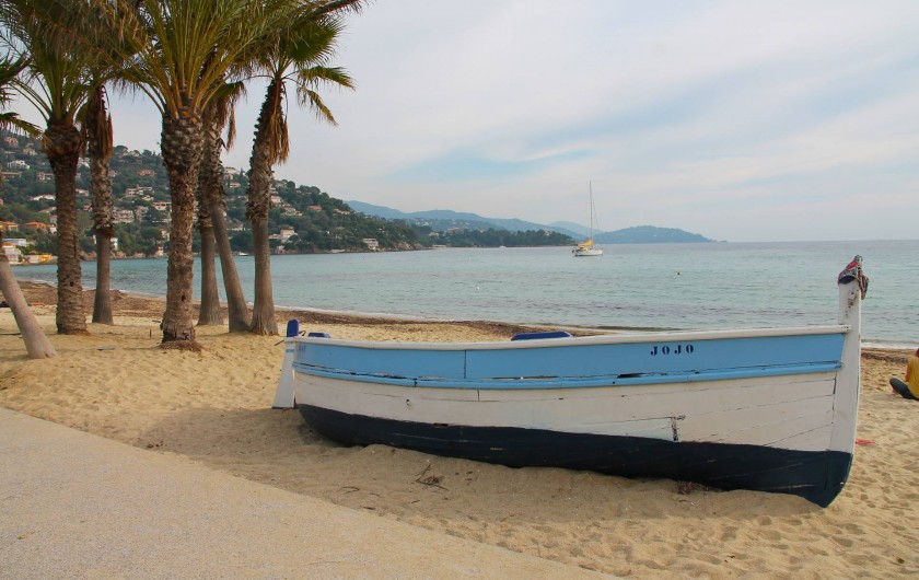 Location de vacances - Appartement à Le Lavandou