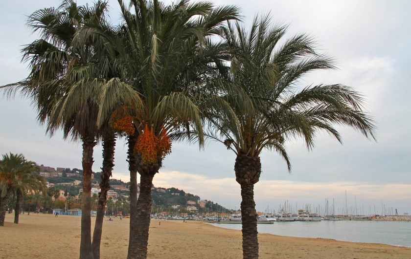 Location de vacances - Appartement à Le Lavandou