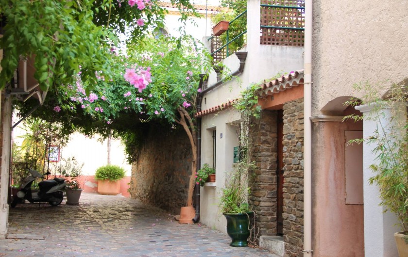 Location de vacances - Appartement à Le Lavandou