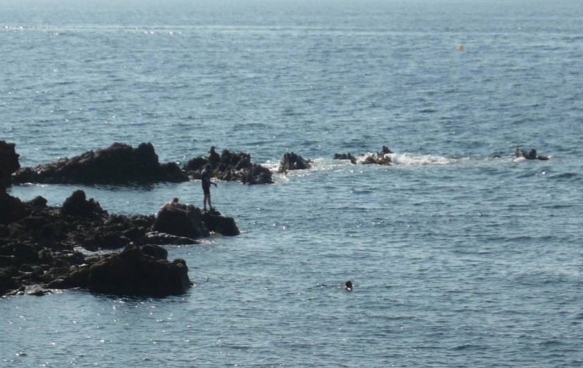 Location de vacances - Studio à Saint-Raphaël - Boulouris