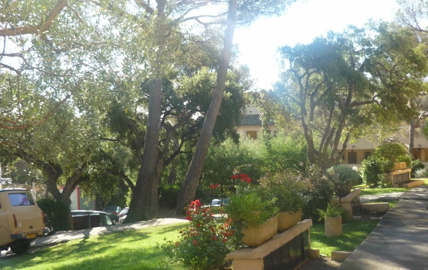 Location de vacances - Studio à Saint-Raphaël - La résidence le Hameau des pins