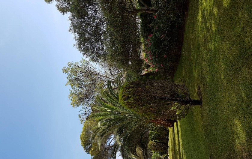 Location de vacances - Studio à Saint-Raphaël - Résidence vue du salon de jardin