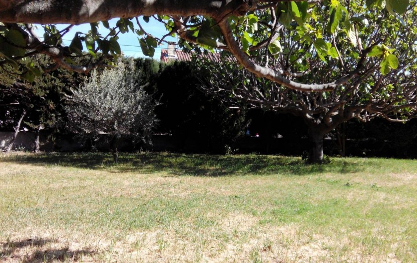 Location de vacances - Villa à Aubagne - jardin à Aubagne