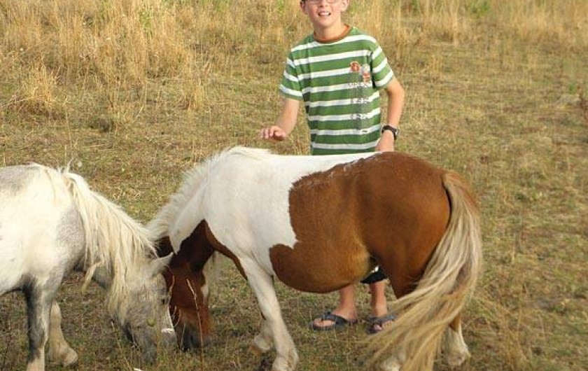 Location de vacances - Camping à Saint-Hilaire-de-Lusignan