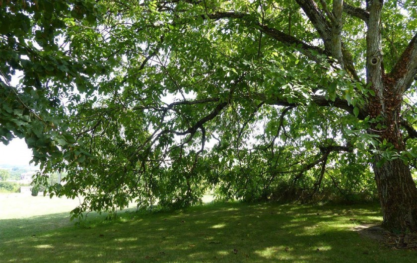 Location de vacances - Gîte à Monflanquin