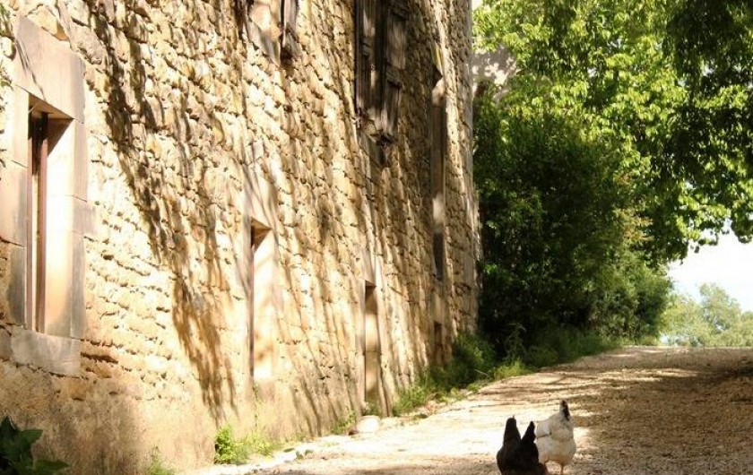 Location de vacances - Camping à Barjac