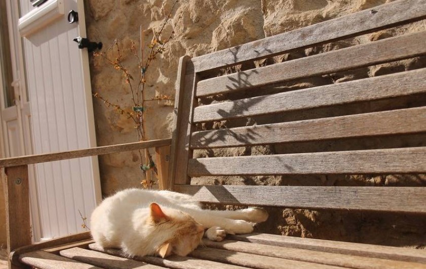 Location de vacances - Camping à Barjac