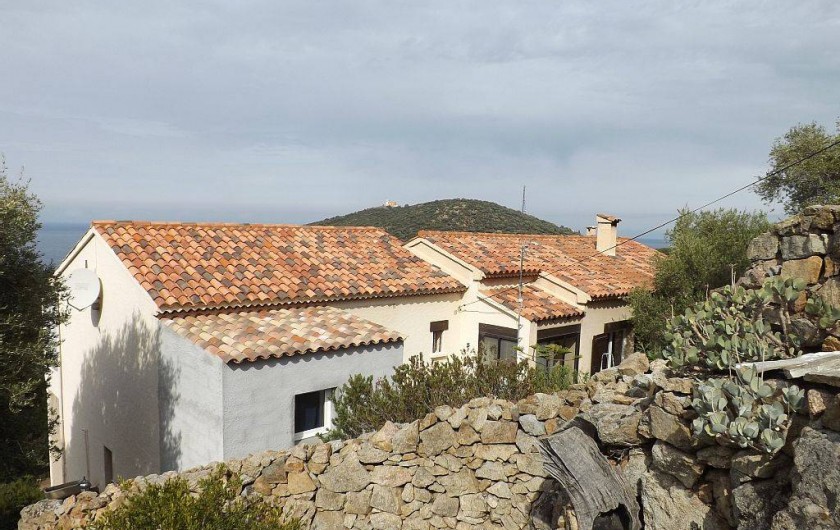 Location de vacances - Studio à Corbara