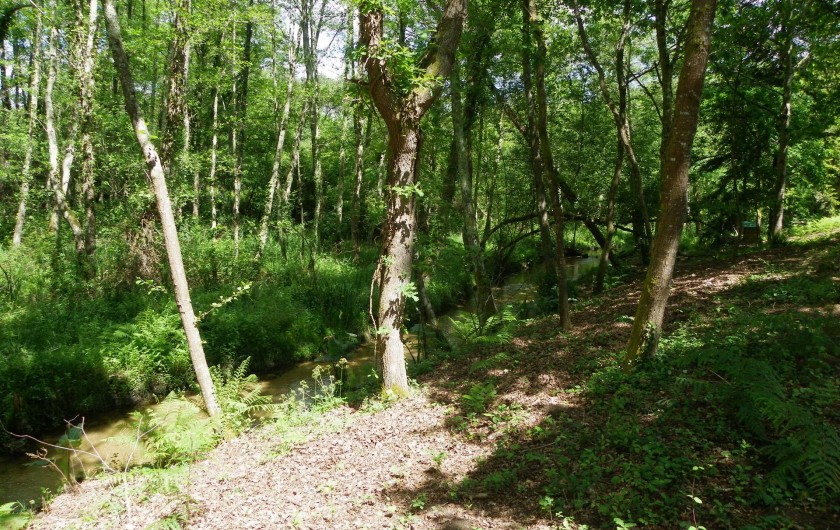 Location de vacances - Gîte à Magescq - ...et en bas coule  le ruisseau...