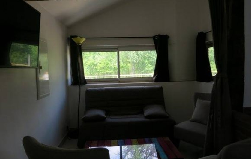 Location de vacances - Gîte à Magescq - le coin salon, avec tv satellite et différentes connexions (hdmi,...)