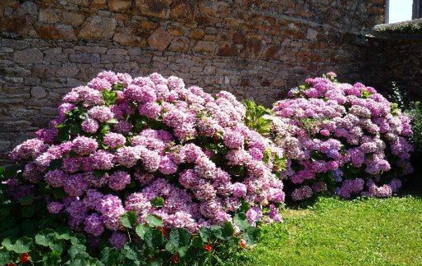 Location de vacances - Gîte à Ploubazlanec