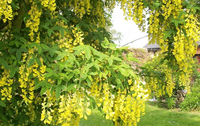 Location de vacances - Gîte à Ploubazlanec