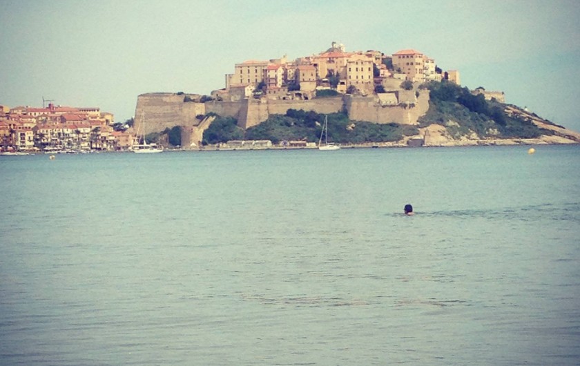 Location de vacances - Gîte à Aregno