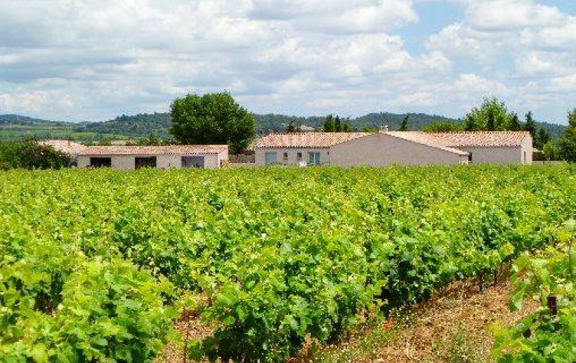 Location de vacances - Gîte à Trausse - maison en bordure des vignes