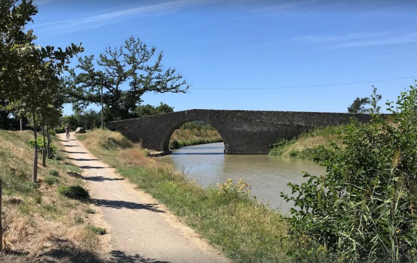 Location de vacances - Gîte à Trausse - Canal du midi