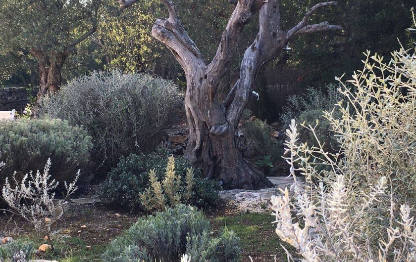 Location de vacances - Maison - Villa à Pascarosa