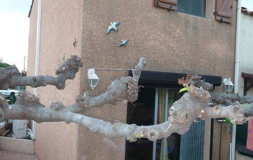 Location de vacances - Villa à Frontignan