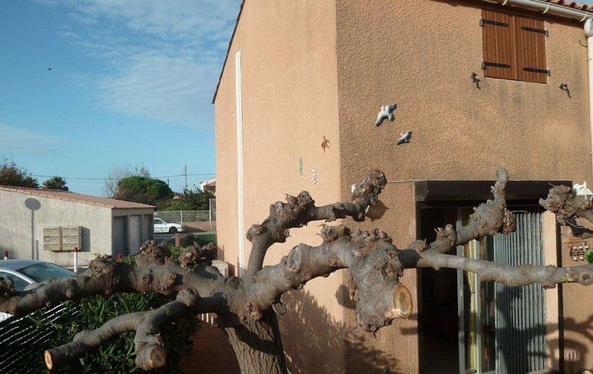 Location de vacances - Villa à Frontignan