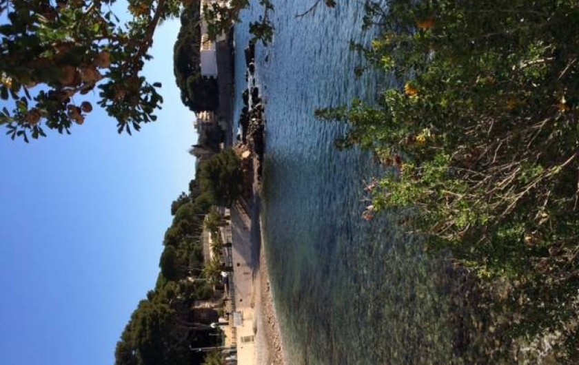 Location de vacances - Appartement à Bandol - PLAGE