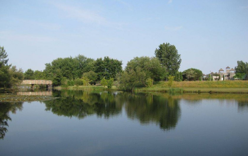 Location de vacances - Maison - Villa à Hourtin