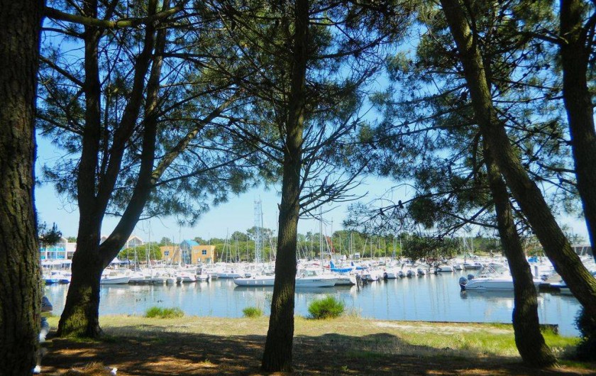 Location de vacances - Maison - Villa à Hourtin