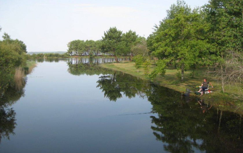 Location de vacances - Maison - Villa à Hourtin