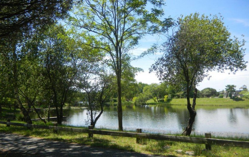 Location de vacances - Maison - Villa à Hourtin