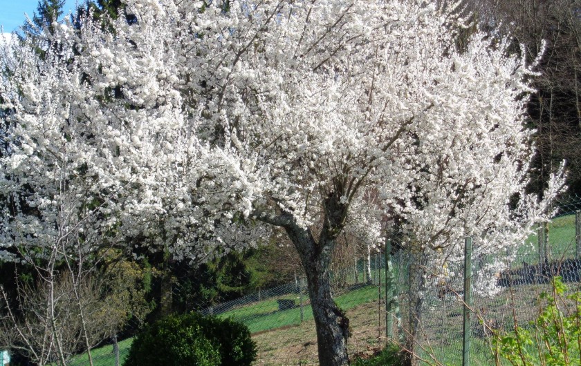 Location de vacances - Maison - Villa à Cours