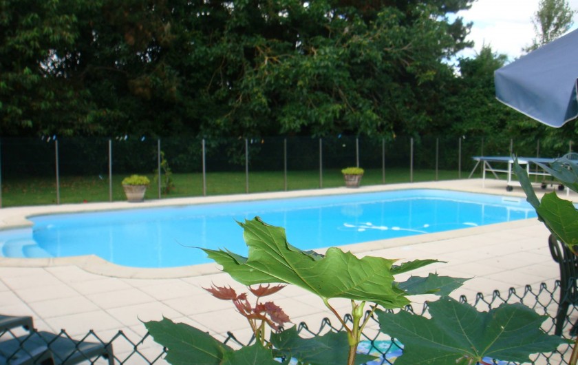 Location de vacances - Chambre d'hôtes à Messas - LE CLOS DE LA VIGNERONNE/PISCINE