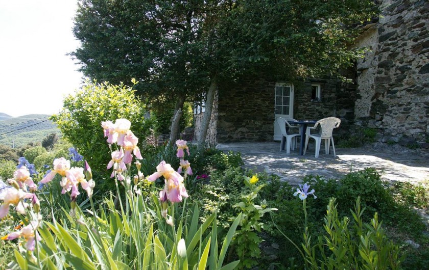 Location de vacances - Gîte à Cros