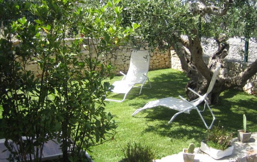 Location de vacances - Maison - Villa à Alberobello - Jardin avec son olivier séculaire
