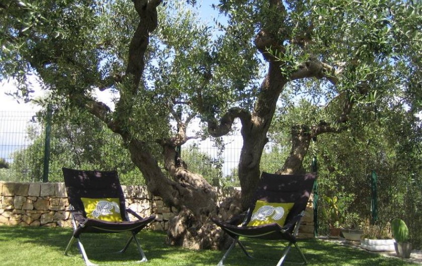 Location de vacances - Maison - Villa à Alberobello - Jardin