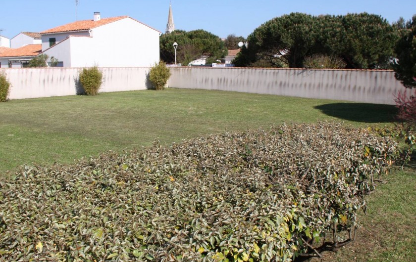 Location de vacances - Maison - Villa à Sainte-Marie-de-Ré - Jardin clos de murs