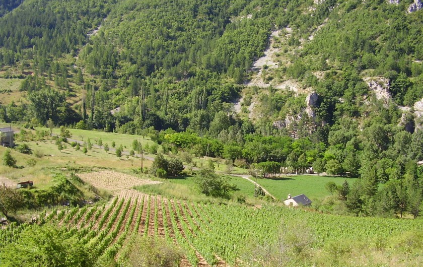 Location de vacances - Camping à Castelbouc