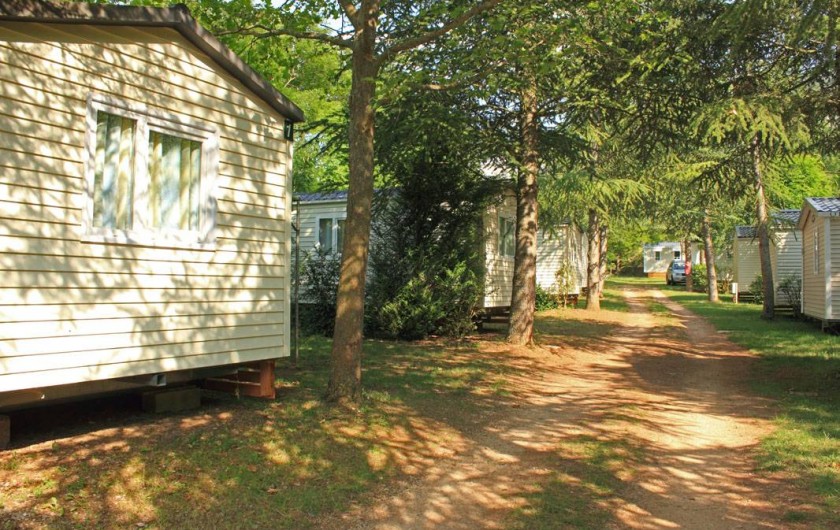 Location de vacances - Camping à Castelbouc - Allée des mobil home