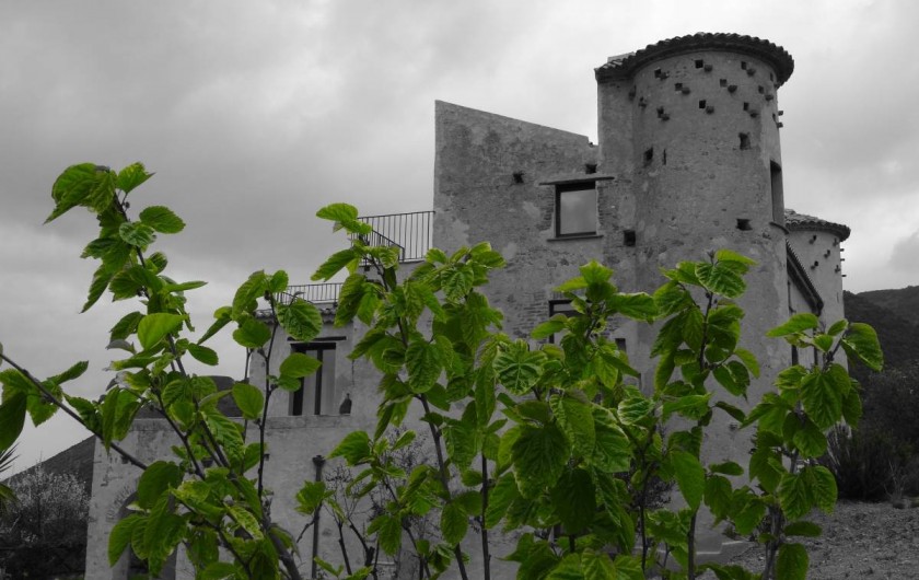 Location de vacances - Appartement à Pisciotta