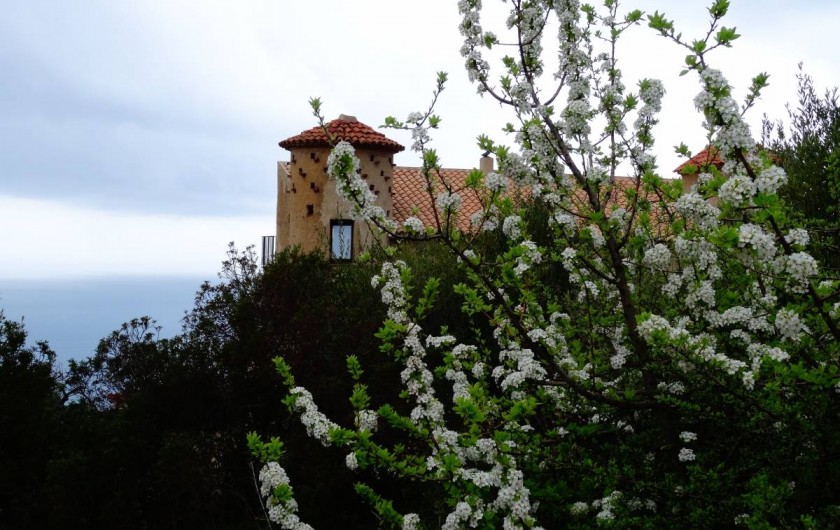 Location de vacances - Appartement à Pisciotta