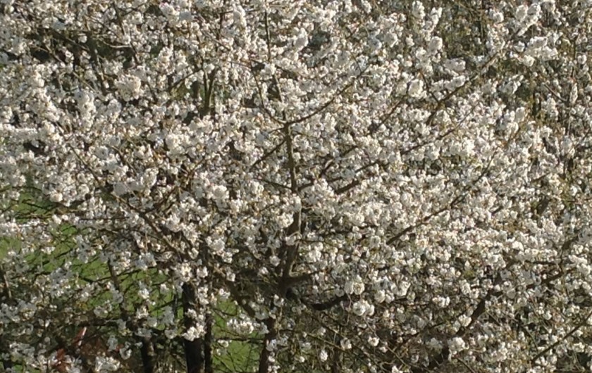 Location de vacances - Gîte à Le Landin