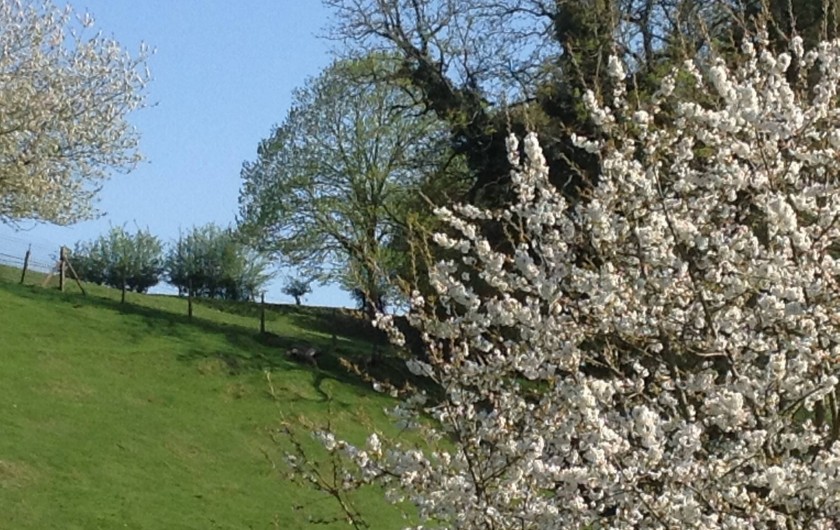 Location de vacances - Gîte à Le Landin